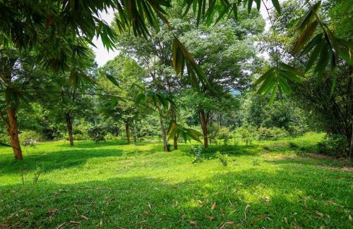 Mananthavady Cama Y Desayuno | Bamboo Grove