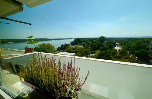 Vidin Apartamento | Bamboo tree Apartment