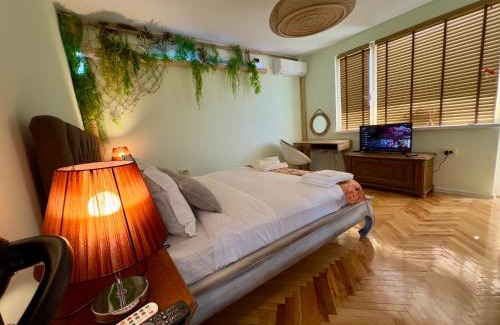 Vidin Apartamento | Bamboo tree Apartment