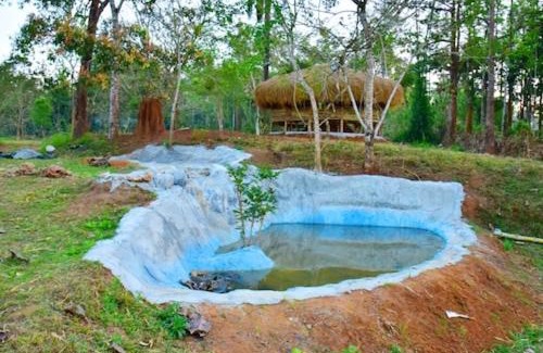 Kaimane Casa | Bamboo world kuruva