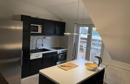 Radebeul Apartamento | Bambus, Jungle, Dachterrasse & bequem bis Zentrum