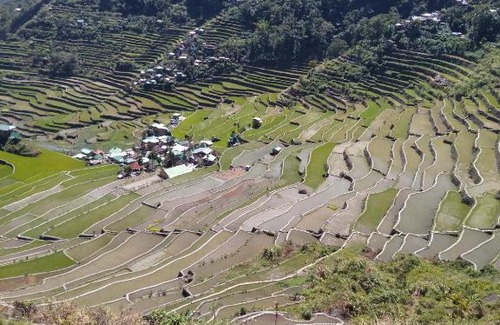 Batad Casa | Banaue Batad village homestay