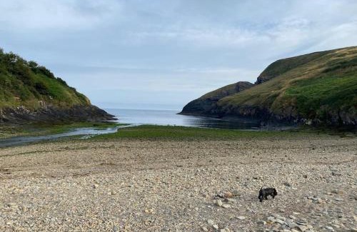 Moylegrove Casa | Banc Cottage