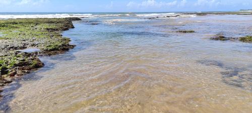 Itacimirim Casa | Bangalô Tavarua Itacimirim Pé na areia