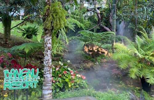 Takua Thung Complejo | Bangnu Greenery Resort