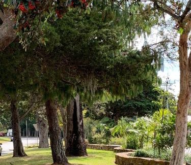 North Tamborine Casa | Bank House Tamborine Mountain