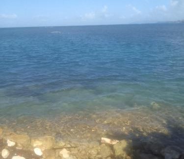 Sandy Bay Cama Y Desayuno | Barbican Beach Front
