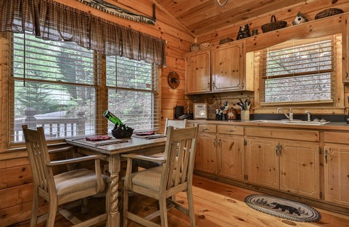 Blue Ridge Cabina | Bare Bear | Cherry Log, Ga