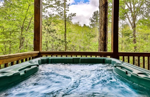 Blue Ridge Cabina | Bare Bear | Cherry Log, Ga