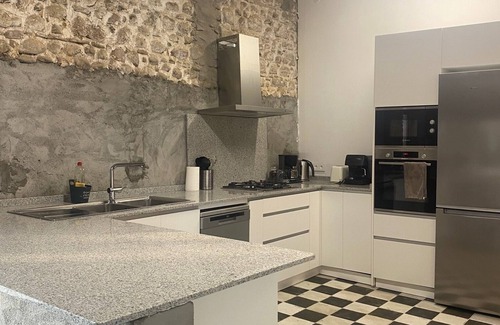 Monein Otro | Barn 300m2. Vineyard/horses/private tennis court/pool nearby