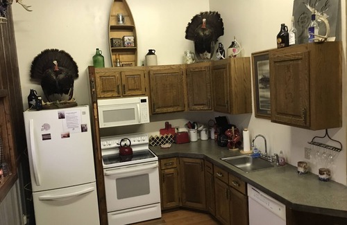 Dresden Cabina | Acogedor, admite mascotas, senderos de vino cercanos y Woodbury Ground, W. Condado de coshocton