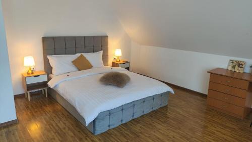 Toplita Hotel | Baroc Boutique Hotel