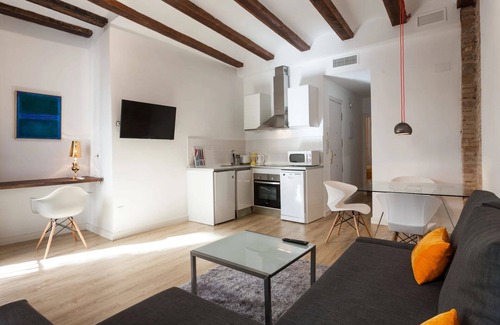 Ciutat Vella Apartamento | Baron Reina 1 - Plaza de la Reina