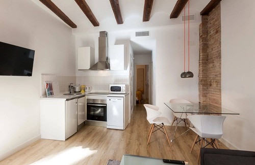 Ciutat Vella Apartamento | Baron Reina 1 - Plaza de la Reina