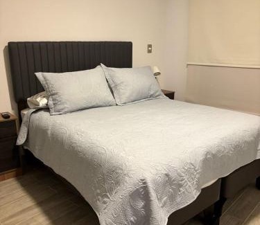Downtown Santiago Apartamento | Barrio República - Movistar Arena - Ingeniería