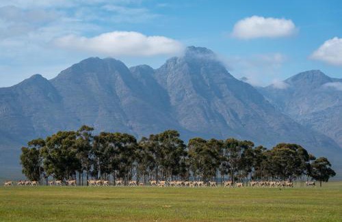 Hermon Casa | Bartholomeus Klip Farmhouse