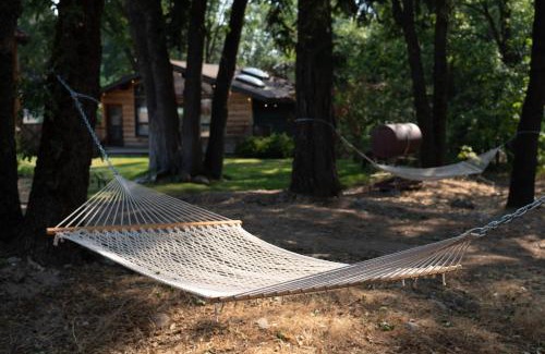 Mount Shasta Hotel | Basecamp Lodge