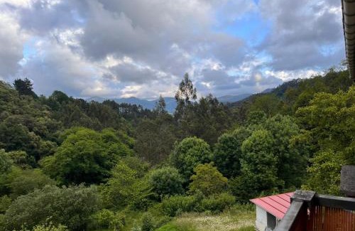 Sopuerta Chalet De Esquí | Basoan etxea