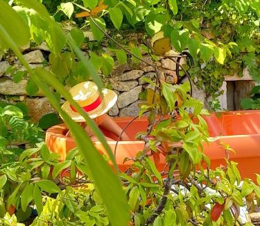 Noailles Cama Y Desayuno | Bastida de Beata