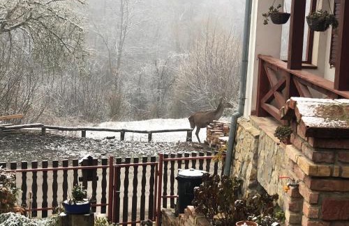 Puspokszentlaszlo Casa | Bauer Vendégház Püspökszentlászló