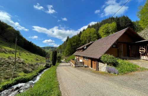 Munstertal Casa | Bauernhaus im Münstertal