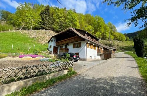 Munstertal Casa | Bauernhaus im Münstertal