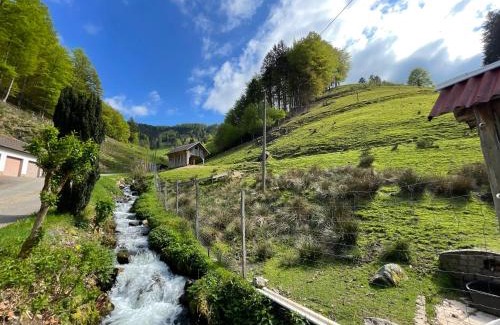 Munstertal Casa | Bauernhaus im Münstertal