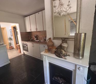 Berka/Werra Apartamento | Bauernhof Privatzimmer Hortus Sandrine Gemeinschaftsbad Free WiFi