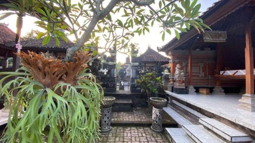 Abiansemal Casa | Bawa Home Stay