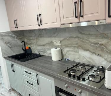 Iasi Apartamento | BB Apartaments Granit