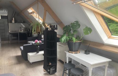 Municipality of Heemskerk Cama Y Desayuno | BBOosterweg3 Studio - Free private parking