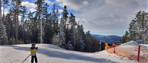 Lipno nad Vltavou Apartamento | bdapartmany