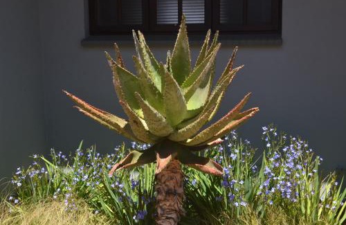 Klerksdorp Casa | Be At Home Guesthouse