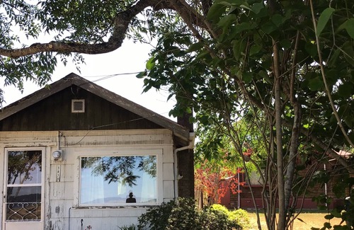 Courtenay Cabina | Beach Bum Cabin with awesome water views, sunsets and bird watching.