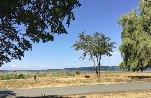 Courtenay Cabina | Beach Bum Cabin with awesome water views, sunsets and bird watching.