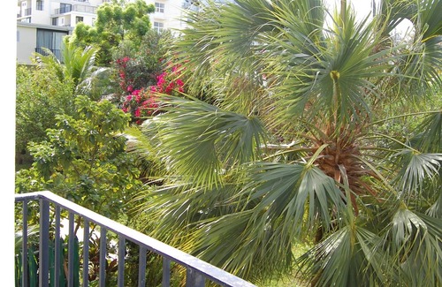 Williams Town Condominio | Estudio frente al mar en alquiler en Freeport Grand Bahamas, Port Lucaya