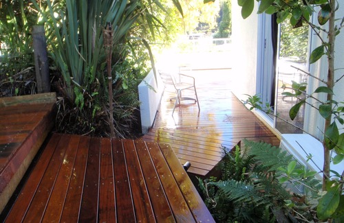 Kaiteriteri Cabaña | Estudio frente a la playa, Palms, Tapu Bay - Kaiteriteri Holiday Studio