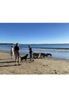 Takapuna Casa | Beach holiday retreat
