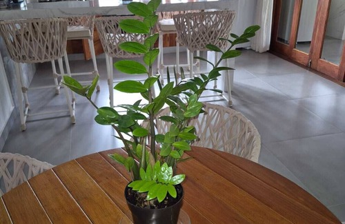 Porto Seguro Casa | Beach house in Arraial d`juda Bahia, close to the best beaches in the region.