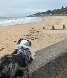 Walton on the Naze Casa | Beach Walk Cottage