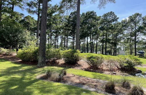 Calabash Apartamento | Beaches and Birdies II - First Floor Golf Resort Studio
