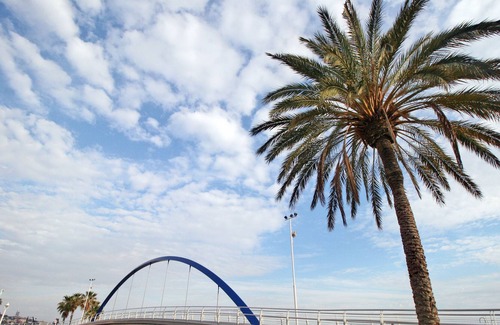 Las Acacias Apartamento | Frente a la playa 2 dorm. +1 baño + terraza en el este de la ciudad de Málaga (Pedregalejo)