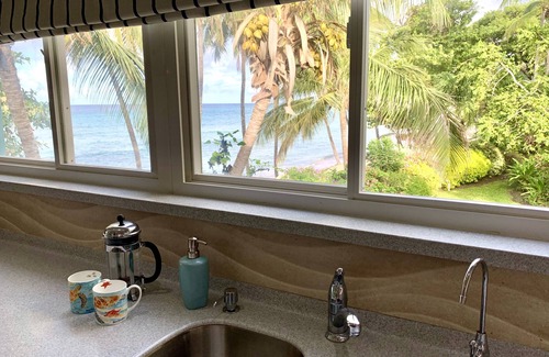 Dover Apartamento | Beachfront apartment in Paradise: Turtles Nest D