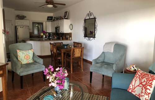 San Jose del Cabo Condominio | Condominio en la playa en San José del Cabo!