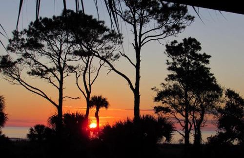 Hilton Head Apartamento | Beachfront Condo with Ocean View