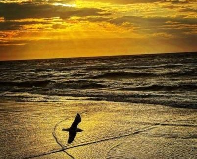 Hilton Head Apartamento | Beachfront Condo with Ocean View