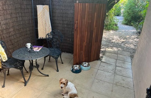 Suffolk Park Apartamento | Beachfront Dog-friendly Motel Room With Courtyard