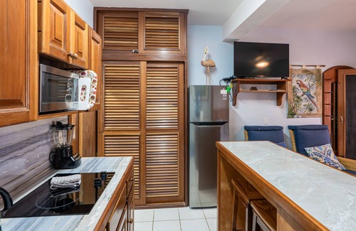 San Pedro Condominio | Beachfront dog-friendly condo with pool - walk to ocean from beachfront veranda