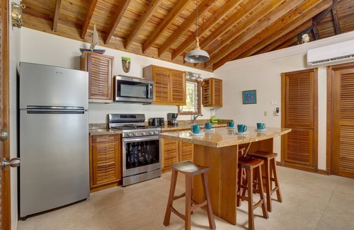 Placencia Villa | Beachfront Stay – Deep Pool Sleeps 6 Private Suite