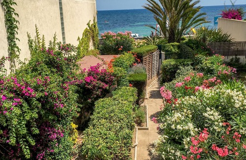 Pointe Croisette Apartamento | Autentico apartamento de un dormitorio con vista al mar.